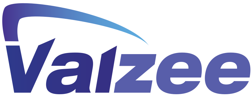 Vaizee Logo